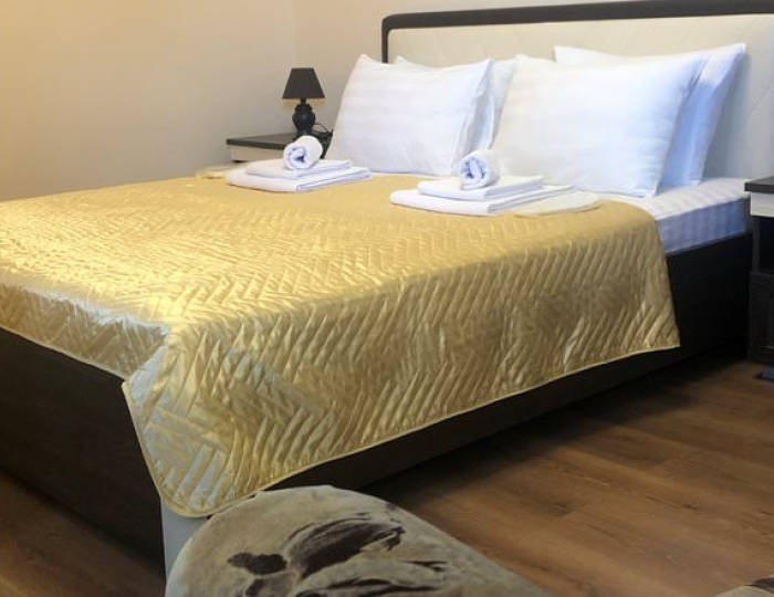 ДЕЛЮКС 2-МЕСТНЫЙ 1-КОМНАТНЫЙ - Отель «Дельфин» Сухум