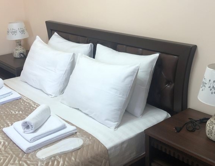 ДЕЛЮКС 2-МЕСТНЫЙ 1-КОМНАТНЫЙ - Отель «Дельфин» Сухум